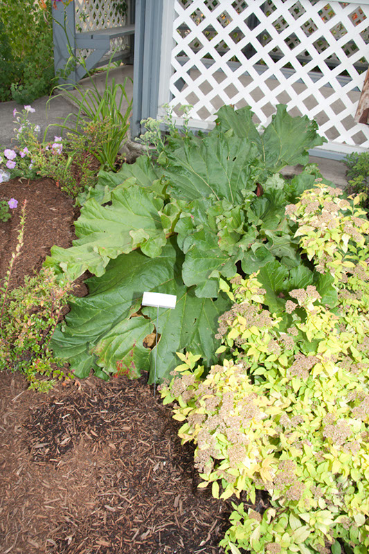 Cox_20110806_072