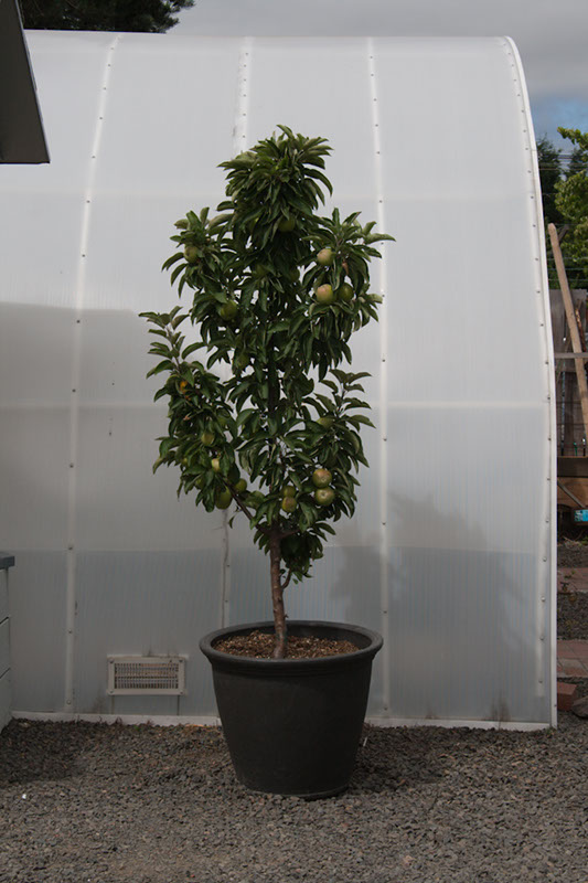 Cox_20110806_007