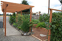 Cox_20110806_128
