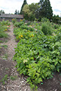 Cox_20110806_153