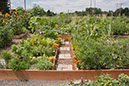 Cox_20110806_151