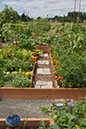 Cox_20110806_150
