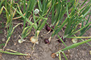 Cox_20110806_139