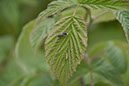 Cox_20110806_122