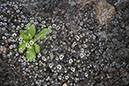 Cox_20110806_099