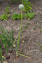 Cox_20110806_143