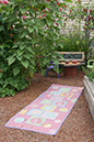 Cox_20110806_106