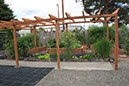 Cox_20110806_127