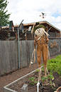 Cox_20110806_095