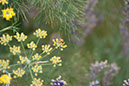 Cox_20110806_042