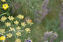Cox_20110806_041