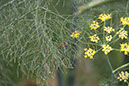 Cox_20110806_040