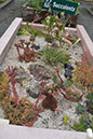 Cox_20110806_026