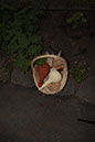 Cox_20110806_067