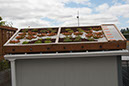 Cox_20110806_125