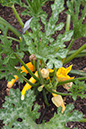 Cox_20110806_059