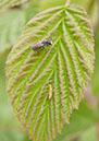 Cox_20110806_123