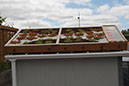 Cox_20110806_126