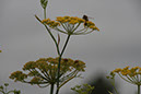 Cox_20110806_052