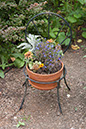 Cox_20110806_104