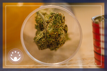 Some General Effects of Laced Marijuana