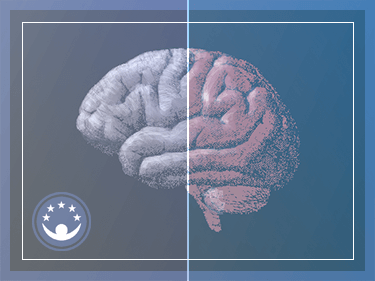 Brain Aging