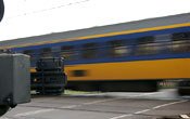Img_1233t