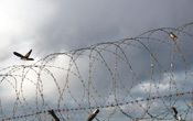 _mg_3259t