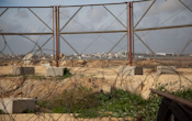 _mg_3548t