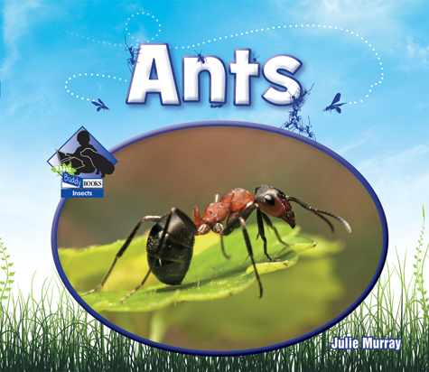 Ants