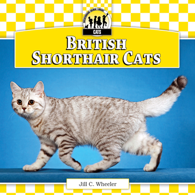 British Shorthair Cats