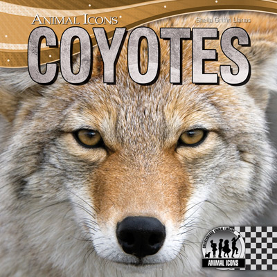 Coyotes