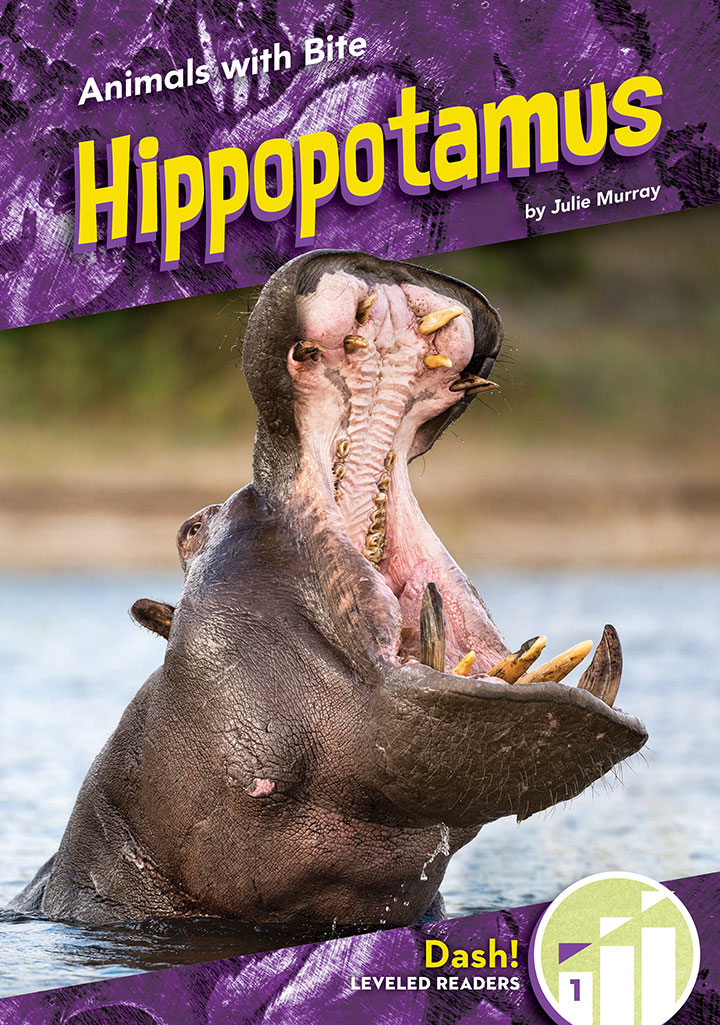 Hippopotamus