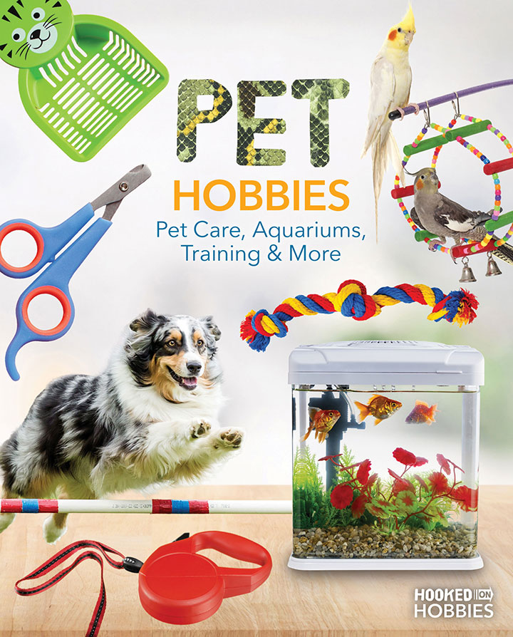 Pet Hobbies: Pet Care, Aquariums, Training & More Pet Hobbies: Pet Care, Aquariums, Training & More