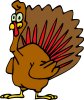 Turkey Picture