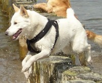 Free Pictures | acobox.com