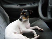 Free Pictures | acobox.com