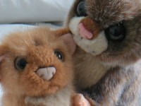Free Pictures | acobox.com