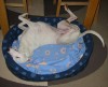 Free Pictures | acobox.com