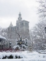Central Park in Winter