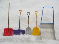 Free Pictures | acobox.com