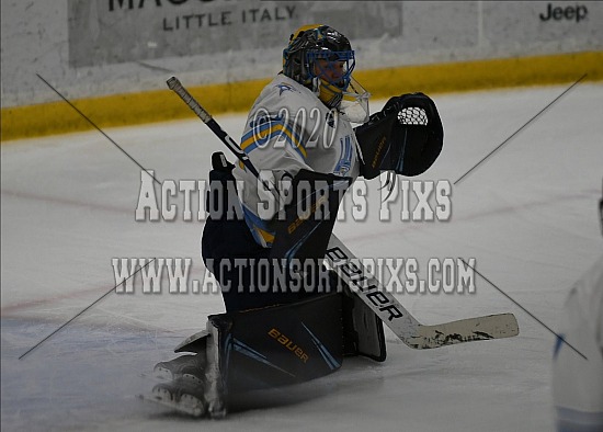 LIU vs Post Womens Ice Hockey