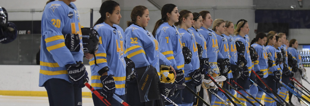 2020-02-19-LIU_vs_StMichaels_Ice_Hockey-0202.jpg