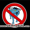 Bull_2