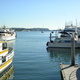 The Willingham Team ~ MDR Condos (MDR Condos - Marina del Rey): Real Estate - Other in Marina del Rey, CA