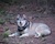 Unknown004732