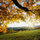 Autumn_leaves