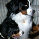 Jack Gilleland: Inspector in Clayton, OH