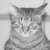 Barcat2