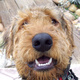 Judi - SEO for Realtors Search Engine Optimization Software (Promotions Unlimited): Real Estate Media in San Diego, CA